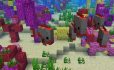 Piranhas image 1