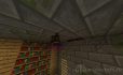 Pet Bat image 1