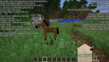 Horse Debug Info [Forge] image 1