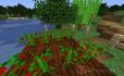 Peppers image 1