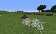 Spider Webbing image 1