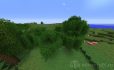 Better Foliage image 1