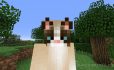 Grumpy Cat image 1
