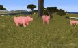 Better Animal Models image 1