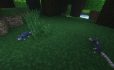 Rats image 1