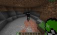 Mob Catcher image 1