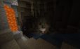 Wild World image 1
