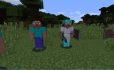 Steves image 1