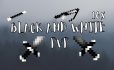 Ресурспак Black and White PvP [16×16] image 1