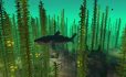 Underwater Biome image 1
