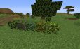 More Berries image 1