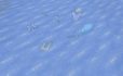 Rare Ice image 1